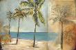 Palm Study Ii by Judeen Limited Edition Print