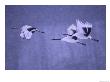 Three Japanese Red-Crowned Cranes (Grus Japonensis) In Snowy Flight by Roy Toft Limited Edition Print