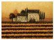 Fall Vineyard by Lowell Herrero Limited Edition Print