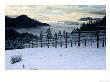 Snow Covered Vineyard, Napa Valley, United States Of America by Jerry Alexander Limited Edition Print