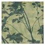 Foliage Silhouettes I by Eloise Ball Limited Edition Print