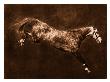 Free Jumper Iii by Robert Dawson Limited Edition Print