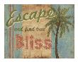 Tropical Escape by Ted Zorns Limited Edition Pricing Art Print