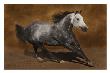 Grey Thunder by Robert Dawson Limited Edition Print