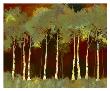 Birches Three by Susanne Darius Limited Edition Pricing Art Print