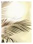 Areca Sepia Palm Iii by Trulee Jameson Limited Edition Print