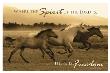 Horse Trio With Verse by Robert Dawson Limited Edition Print