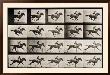 Jockey On A Galloping Horse, Plate 627 From Animal Locomotion, 1887 by Eadweard Muybridge Limited Edition Pricing Art Print
