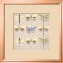 Floating Dragonflies I by Katja Marzahn Limited Edition Print
