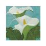 Calla Lilies V by Audrey Heard Limited Edition Pricing Art Print