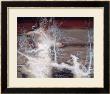 Old-Growth Trees In Spring Snow by Genggu Liu Limited Edition Print