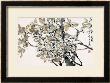 Plum Blossoms After Rain by Wanqi Zhang Limited Edition Pricing Art Print