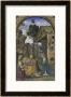 The Nativity by Bernardino Di Betto Pinturicchio Limited Edition Print