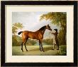 Tristram Shandy, A Bay Racehorse Held By A Groom In An Extensive Landscape, Circa 1760 by George Stubbs Limited Edition Print