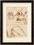 Study For Catapults by Leonardo Da Vinci Limited Edition Print
