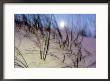 A View Of A Full Moon Rising Above A Sand Dune by Raymond Gehman Limited Edition Print