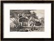 The Cedars Of Lebanon by Prosper Georges Antoine Marilhat Limited Edition Print