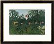 Foret Vierge Au Soleil Couchant by Henri Rousseau Limited Edition Print