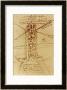 Drawing Of A Flying Machine by Leonardo Da Vinci Limited Edition Pricing Art Print