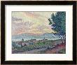 St. Tropez, Pinewood, 1896 by Paul Signac Limited Edition Print