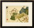 Lotus by Xu Gu Limited Edition Pricing Art Print