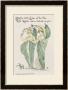Lilies Of The Vale, From Flora's Feast, 1901 by Walter Crane Limited Edition Print