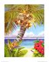 Tropical Horizon by Penny Gupton Limited Edition Print