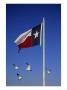 Texas Flag And Gulls by Scott Berner Limited Edition Print