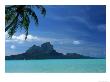 Palm Tree, Water And Island, Bora Bora, Tahiti by Barbara Haynor Limited Edition Pricing Art Print