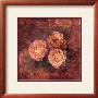 Rose Trio Ii by Tom Collicott Limited Edition Print