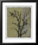 Branch In Silhouette Iii by Jennifer Goldberger Limited Edition Pricing Art Print