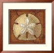 Sand Dollar by Lisa Steinkamp Limited Edition Pricing Art Print