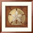 Sand Dollar by Lisa Steinkamp Limited Edition Print