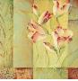 Tulip Anthology I by Annie Saint Leger Limited Edition Pricing Art Print