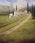 Tuscany Vineyard by Hawley Limited Edition Print