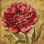 Golden Muse Peony by Chad Barrett Limited Edition Pricing Art Print