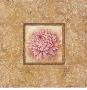 Florentine Chrysanthemum by Stefania Ferri Limited Edition Pricing Art Print