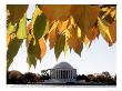 Fall Foliage Frames The Jefferson Memorial On The Tidal Basin Near The White House by Ron Edmonds Limited Edition Pricing Art Print