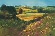 Fields Of Gold by Gholam Yunessi Limited Edition Print
