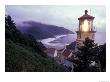 Foggy Day At The Heceta Head Lighthouse, Oregon, Usa by Janis Miglavs Limited Edition Print