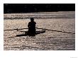Rower In Portage Bay, Seattle, Washington, Usa by William Sutton Limited Edition Print