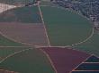 Aerial View Of Colorful Farmlands In South Africa by Beverly Joubert Limited Edition Pricing Art Print