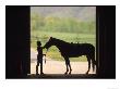 Silhouette Of Rider And Horse by Stewart Cohen Limited Edition Print