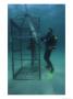 Humorous Photo Of A Diver Observing A Shark In A Shark Cage by Bill Curtsinger Limited Edition Pricing Art Print