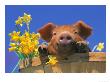 Pig With Daffodils In Bushel by Lynn M. Stone Limited Edition Pricing Art Print
