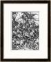 The Four Horsemen Of The Apocalypse by Albrecht Dürer Limited Edition Pricing Art Print