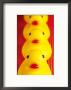 Rubber Duckies In A Row by Fogstock Llc Limited Edition Print