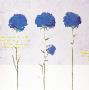 Flores Azules Ii by Llompart Limited Edition Print