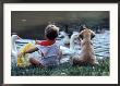 Little Boy And Puppy Looking At Ducks In Pond by Katie Deits Limited Edition Print