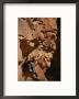 A Woman Climbs Sandstone Cracks In Utah by Bobby Model Limited Edition Pricing Art Print